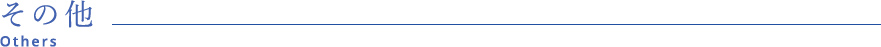 その他